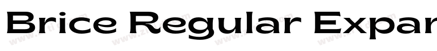 Brice Regular Expand字体转换